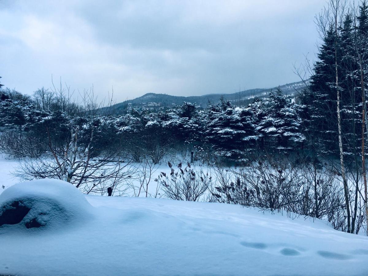Apartament Le Boise Mont-Tremblant Zewnętrze zdjęcie